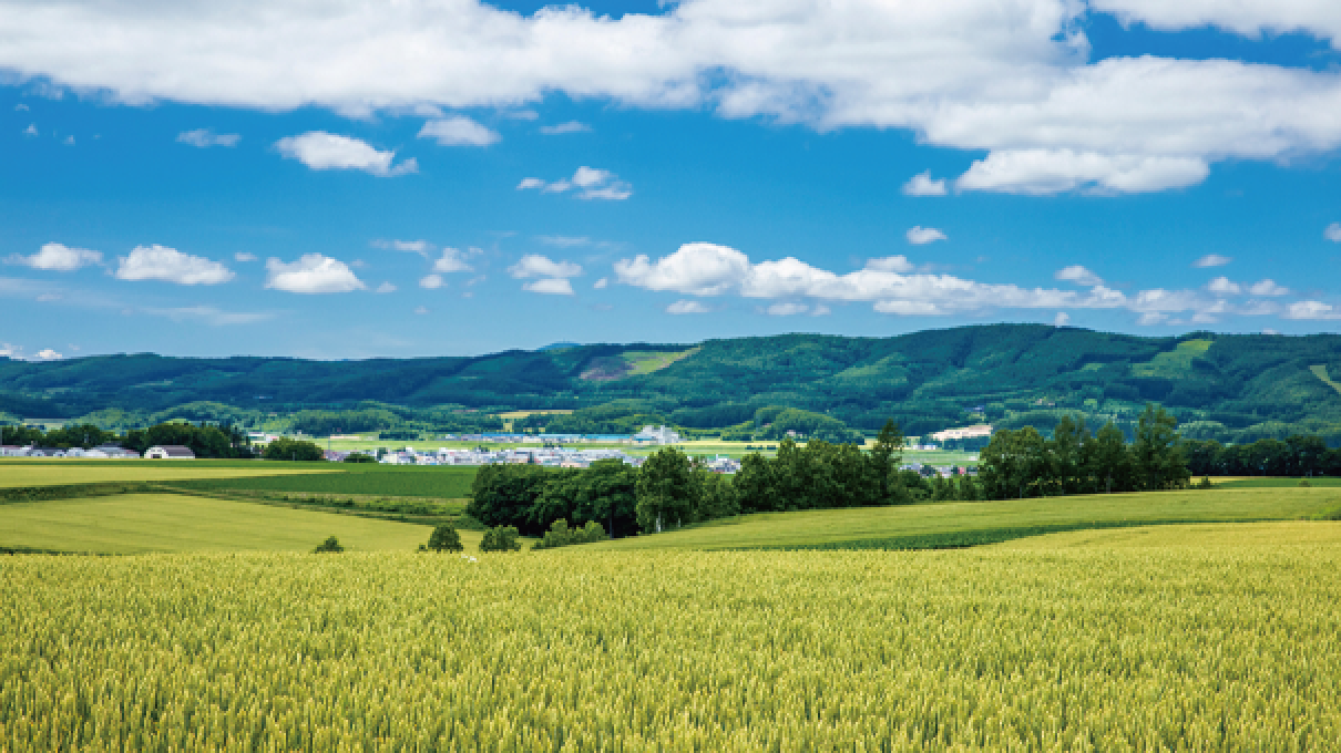 北見市の風景